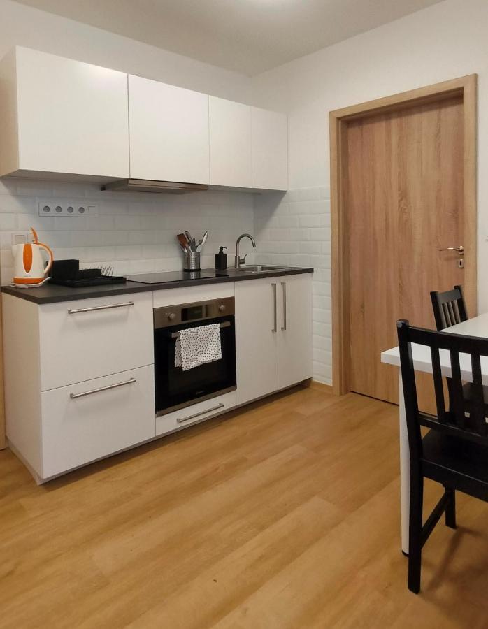 Apartment Stankova برنو المظهر الخارجي الصورة